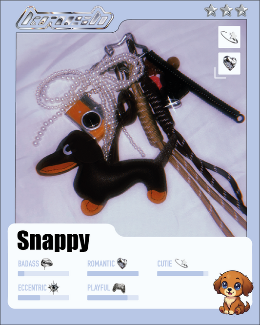 Porte-clé de sac : Snappy  🐶